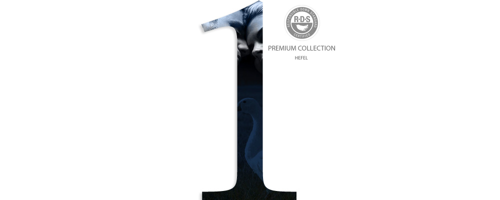 Edredons de penugem e penas ganso