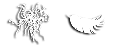 Edredons de penugem vs penas